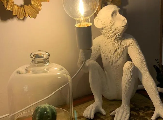 Appartement Paradiso Numero 12