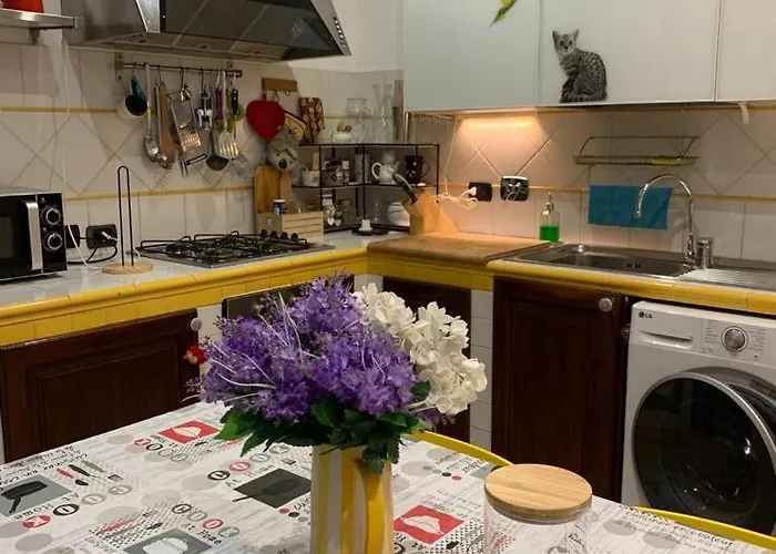 Paradiso Numero 12 Genua